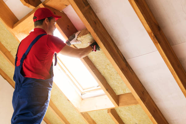 Types of Insulation We Offer in Waretown, NJ